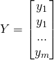 Y = \begin{bmatrix}y_{1} \\ y_{1} \\ ... \\ y_{m}\end{bmatrix}